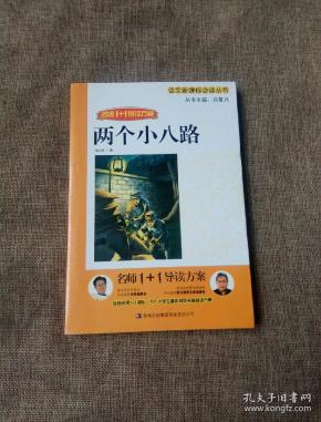 两个小八路——名师1+1导读方案