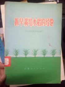 《抓早栽培水稻的经验》