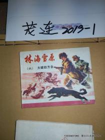 连环画收藏  林海雪原 第六大破四方台  1982年2版16印