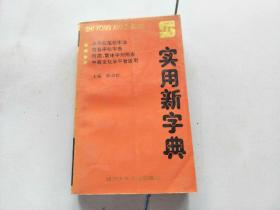 实用新字典