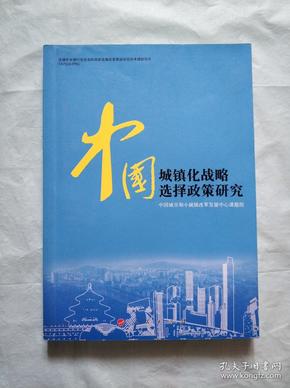 中国城镇化战略选择政策研究
