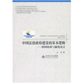 中国法治政府建设的基本逻辑：跨国比较与制度设计