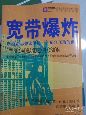 宽带爆炸：听前沿思想家预见一个充分互动的世界