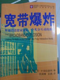 宽带爆炸：听前沿思想家预见一个充分互动的世界