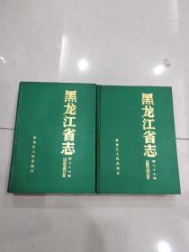 黑龙江省志----（77）出版图书期刊总目 16开！精装本！（上下）上起775年下迄1985年末-