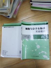 细胞与分子生物学实验教程