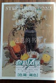 敲门砖：色彩风暴 色调调色 经典美术书（重3斤）