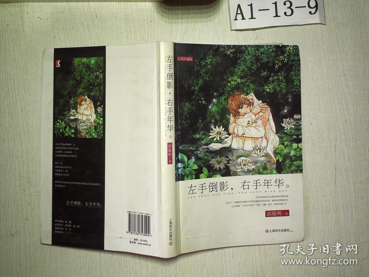 左手倒影.右手年华