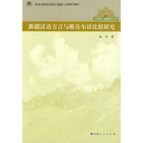新疆汉语方言与维吾尔语比较研究