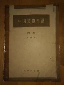 中国动物图谱 鱼类 第四册