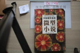 中国最好看的微型小说