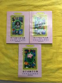 动手动脑学科学:动手动脑学生物、 动手动脑学物理(上下)全3册 带外盒