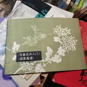 《写意花卉入门》《蔬果画谱》