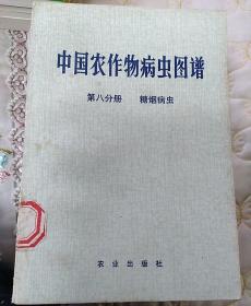 中国农作物病虫图谱     第八分册     糖烟病虫