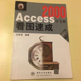 Access 2000中文版看图速成