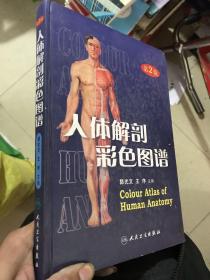 人体解剖彩色图谱