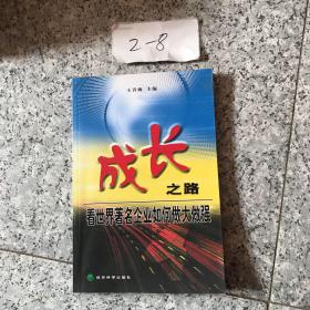 成长之路：看世界著名企业如何做大做强