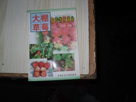 大鹏草莓高产优质栽培                                  AE616