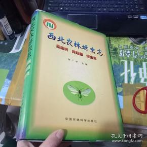 西北农林蚜虫专：昆虫纲、同翅目、蚜虫类