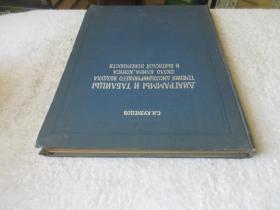 Диаграммы и таблицы течения диссоциирующего воздуха около клина, конуса и выпуклой поверхности（精装俄文原版）