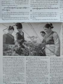 西藏日报（藏文）2011年7月3日庆祝建党90周年