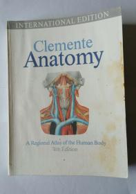 clemente Anatomy（克莱门特解剖学）