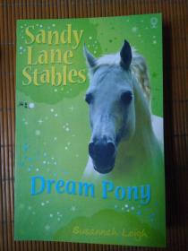 Sandy Lane Stable: Dream Pony_近全新