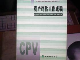 资产评估工作底稿——注册资产评估师后续教育系列丛书之一