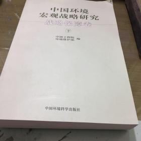 中国环境宏观战略研究—战略保障卷（下卷）