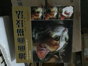 油画画猫技法