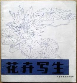 花卉写生  天津杨柳青画社 （一版一印正版现货，参见实拍图片）