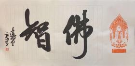 夏奇星，湖北书协副主席、中国书协行书专业委员会委员、湖北省文联委员、黄石市书法家协会主席、黄石市政协 常委、黄石印社顾问 。国家二级美术师。 其作品入选全国第四届书法篆刻展，全国第四届、第五届、第七届中青年书法篆刻展。《中国书法》（2002年第五期书坛中青年栏目）、（2011年第六期 当代书法家栏目）收录作品及评介文章；《中南海珍藏书法集》、《中国现代美术全集》（ 书法卷）【保真书法】2183