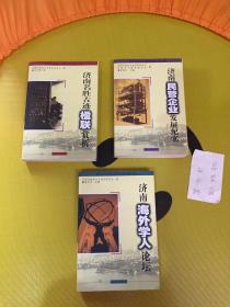 新世纪济南文史资料丛书第三辑——济南民营企业发展纪实·济南海外学人论坛·济南名胜古迹楹联赏析【全三册】