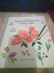 水溶性色铅笔的花园写生