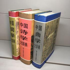 中国诗学大辞典+中国词学大辞典+中国曲学大辞典 共三本合售  【精装、品好】 【 一版一印 9品 ++ 正版现货 自然旧 多图拍摄 看图下单】