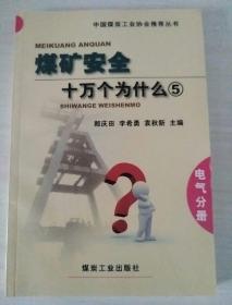 中国煤炭工业协会推荐丛书：煤矿安全十万个为什么5（电气分册）