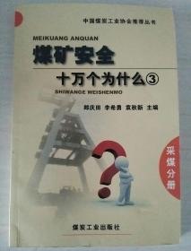 中國煤炭工業(yè)協(xié)會(huì)推薦叢書：煤礦安全十萬個(gè)為什么3（采煤分冊）