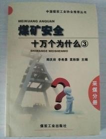 中国煤炭工业协会推荐丛书：煤矿安全十万个为什么3（采煤分册）