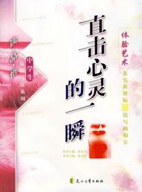 “冰心儿童图书奖”获奖图书·体验阅读系列：体验艺术—直击心灵的一瞬