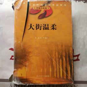 二十世纪末中国文学作品精选 中篇卷 《大街温柔》