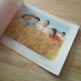 年画缩样1965年(第二册)