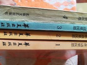 历史在这里沉思(|、2、3、4)第4是北兵文艺出版社(1989年4月一版一印)