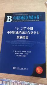 “十二五”中期中国省域经济综合竞争力发展报告