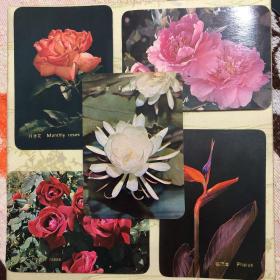 1977年 花卉 年历卡 一套5张