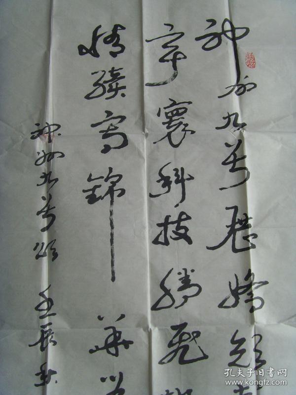 梁耀光：书法：神舟九号颂（云南名家）