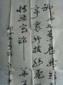 梁耀光：书法：神舟九号颂（云南名家）