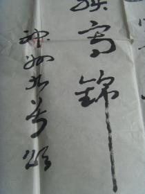 梁耀光：书法：神舟九号颂（云南名家）