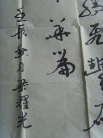 梁耀光：书法：神舟九号颂（云南名家）