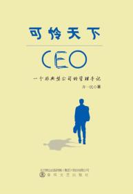 可怜天下CEO:一个非典型公司的管理手记