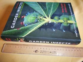 英文                 精装 大画册 《美国北部的园林昆虫：后院虫害的终极指南》 Garden Insects of North America: The Ultimate Guide to Backyard Bugs - 2nd Edition